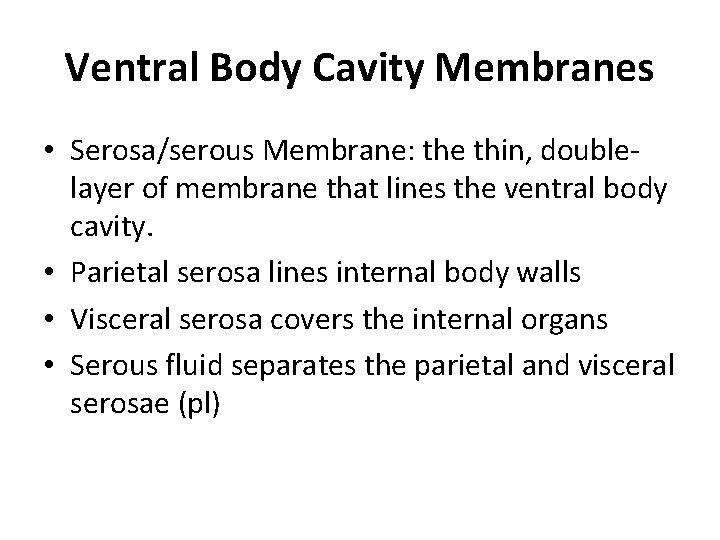 Ventral Body Cavity Membranes • Serosa/serous Membrane: the thin, doublelayer of membrane that lines Ventral Body Cavity Membranes • Serosa/serous Membrane: the thin, doublelayer of membrane that lines
