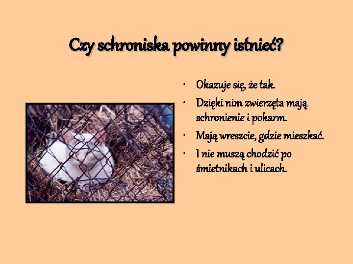 Czy schroniska powinny istnieć? • Okazuje się, że tak. • Dzięki nim zwierzęta mają