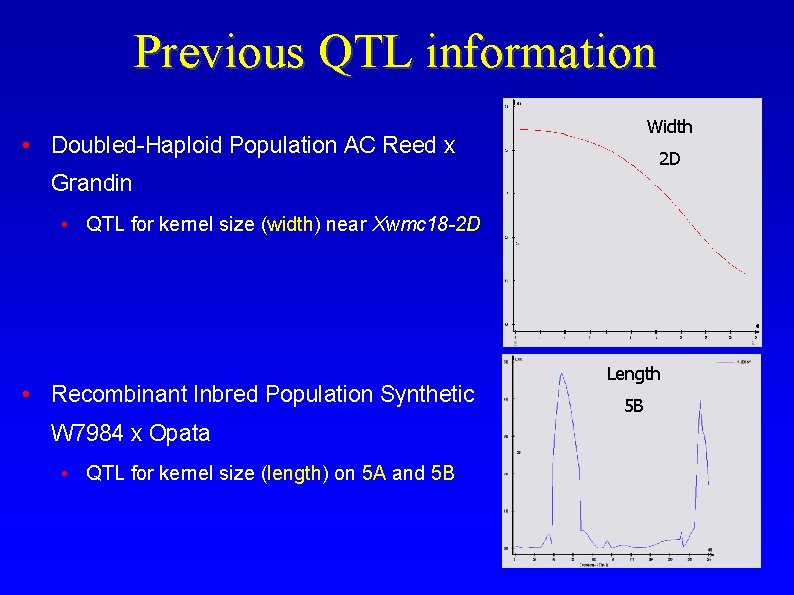 Previous QTL information Width • Doubled-Haploid Population AC Reed x 2 D Grandin •