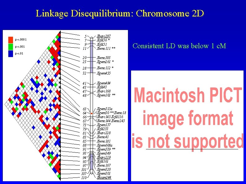 Linkage Disequilibrium: Chromosome 2 D Consistent LD was below 1 c. M 