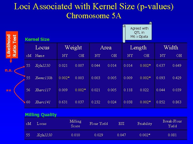 Loci Associated with Kernel Size (p-values) Likelihood Ratio Test Chromosome 5 A n. s.