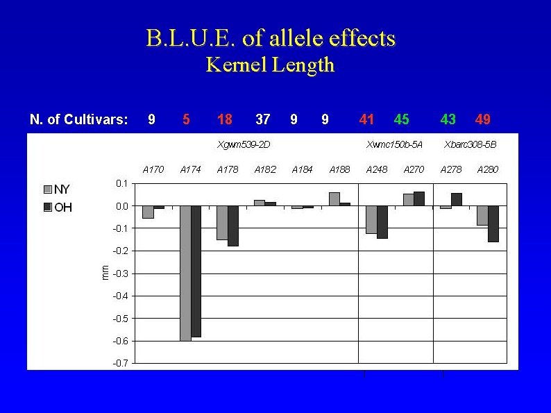 B. L. U. E. of allele effects Kernel Length N. of Cultivars: 9 5