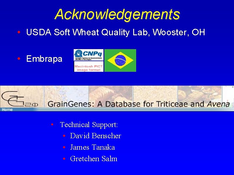 Acknowledgements • USDA Soft Wheat Quality Lab, Wooster, OH • Embrapa • Technical Support: