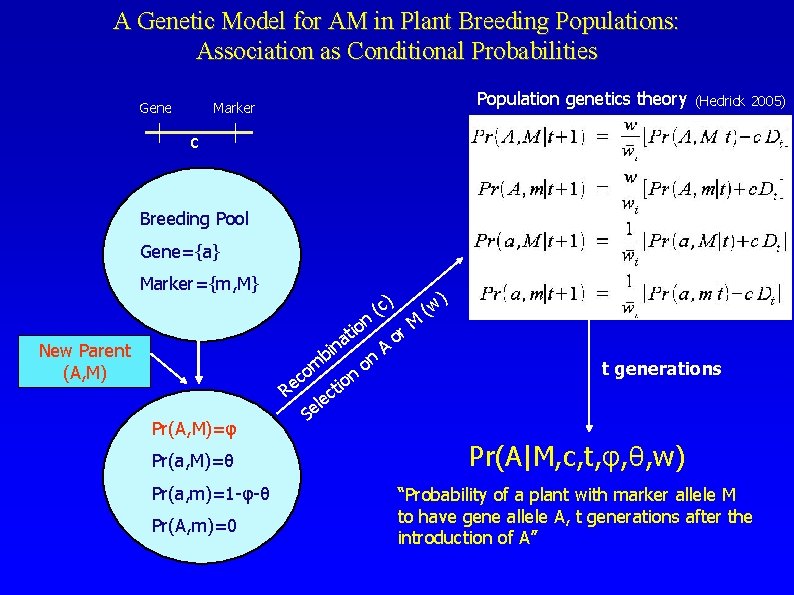 A Genetic Model for AM in Plant Breeding Populations: Association as Conditional Probabilities Gene