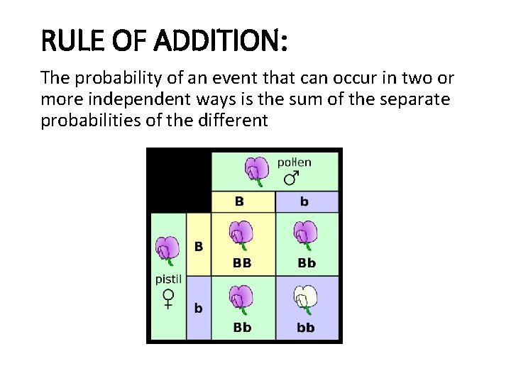 RULE OF ADDITION: The probability of an event that can occur in two or