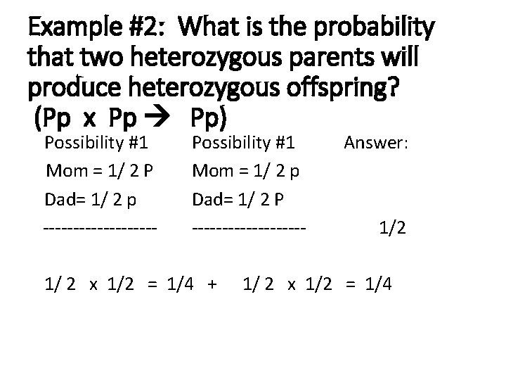 Example #2: What is the probability that two heterozygous parents will produce heterozygous offspring?
