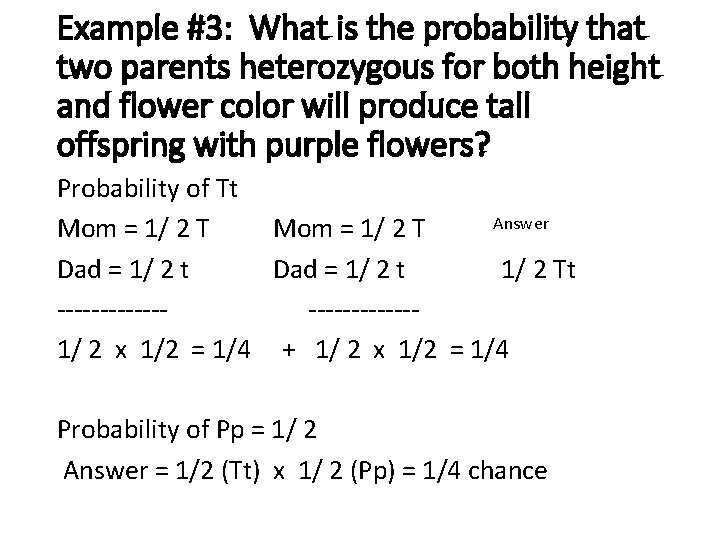 Example #3: What is the probability that two parents heterozygous for both height and