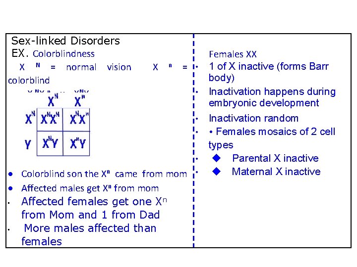 Sex-linked Disorders EX. Colorblindness X N = normal vision colorblind X NX n x