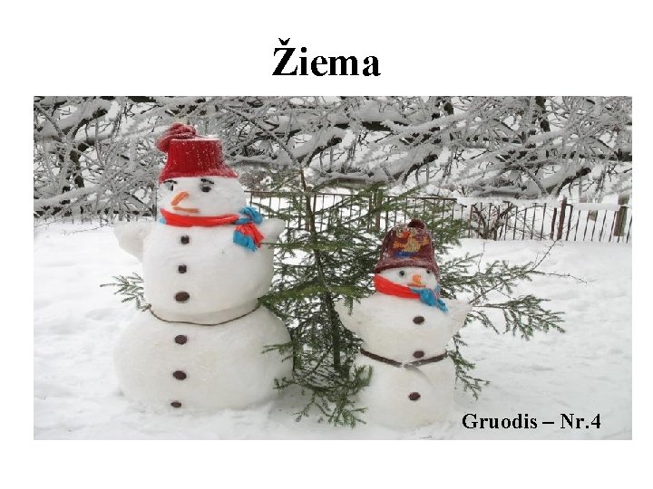 Žiema Gruodis – Nr. 4 