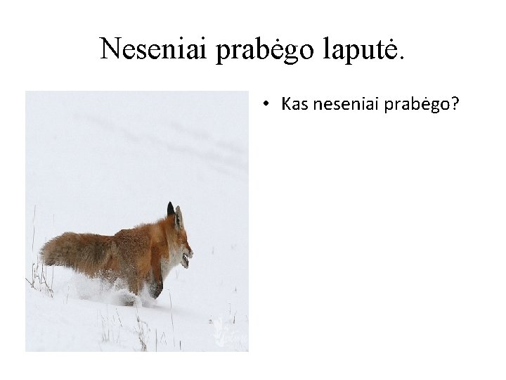 Neseniai prabėgo laputė. • Kas neseniai prabėgo? 