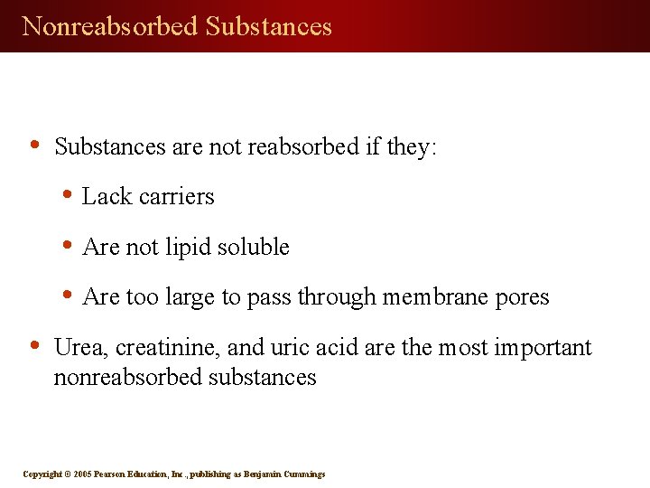 Nonreabsorbed Substances • Substances are not reabsorbed if they: • Lack carriers • Are