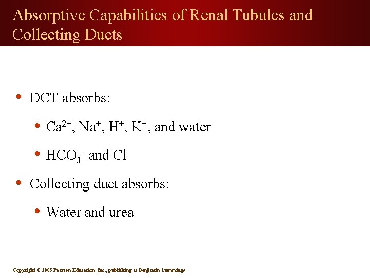 Absorptive Capabilities of Renal Tubules and Collecting Ducts • DCT absorbs: • Ca 2+,