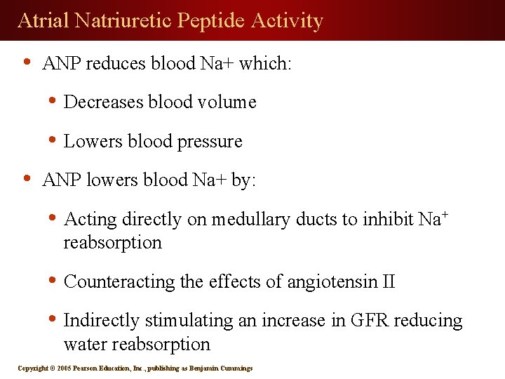 Atrial Natriuretic Peptide Activity • ANP reduces blood Na+ which: • Decreases blood volume