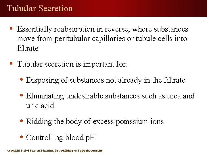 Tubular Secretion • Essentially reabsorption in reverse, where substances move from peritubular capillaries or