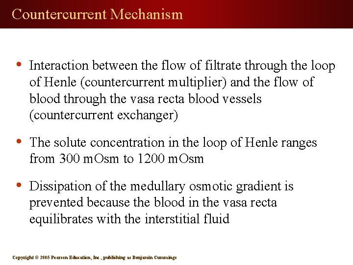 Countercurrent Mechanism • Interaction between the flow of filtrate through the loop of Henle