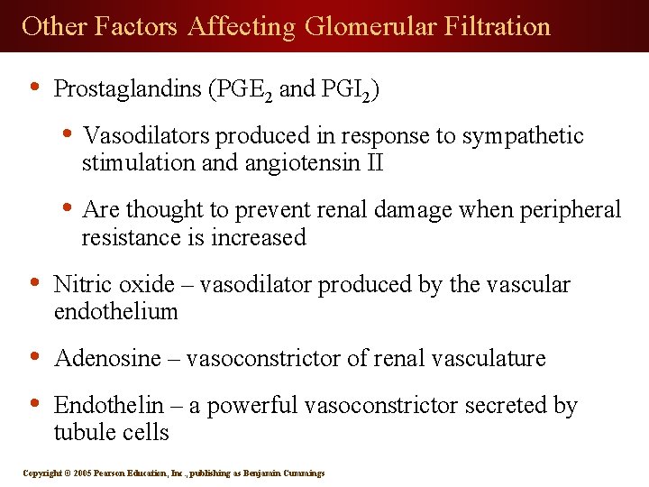 Other Factors Affecting Glomerular Filtration • Prostaglandins (PGE 2 and PGI 2) • Vasodilators