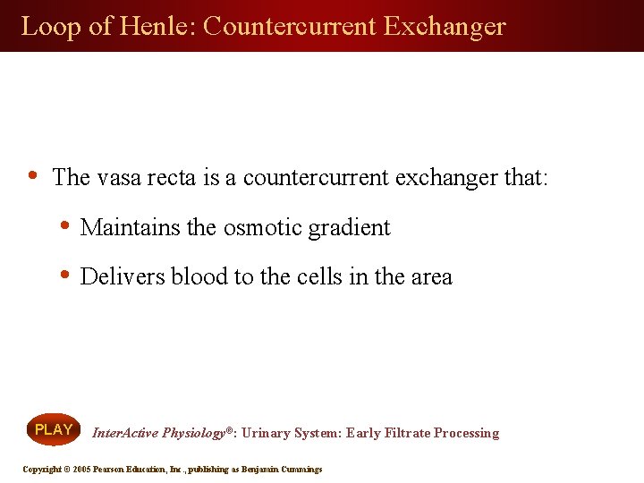 Loop of Henle: Countercurrent Exchanger • The vasa recta is a countercurrent exchanger that: