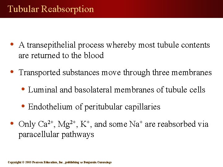 Tubular Reabsorption • A transepithelial process whereby most tubule contents are returned to the