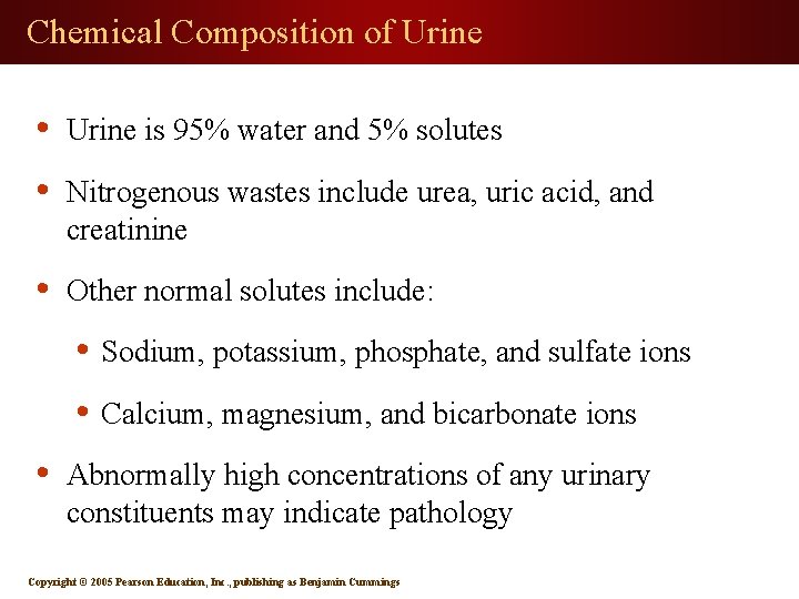 Chemical Composition of Urine • Urine is 95% water and 5% solutes • Nitrogenous