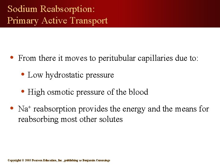 Sodium Reabsorption: Primary Active Transport • From there it moves to peritubular capillaries due