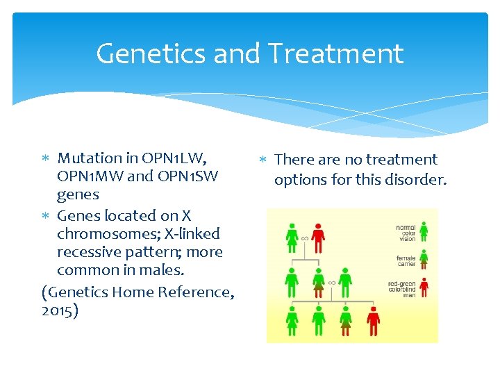 Genetics and Treatment Mutation in OPN 1 LW, OPN 1 MW and OPN 1