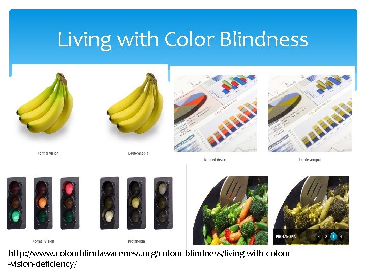 Living with Color Blindness http: //www. colourblindawareness. org/colour-blindness/living-with-colour -vision-deficiency/ 