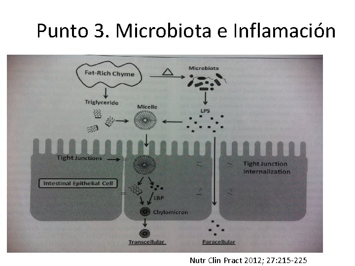 Punto 3. Microbiota e Inflamación Nutr Clin Pract 2012; 27: 215 -225 