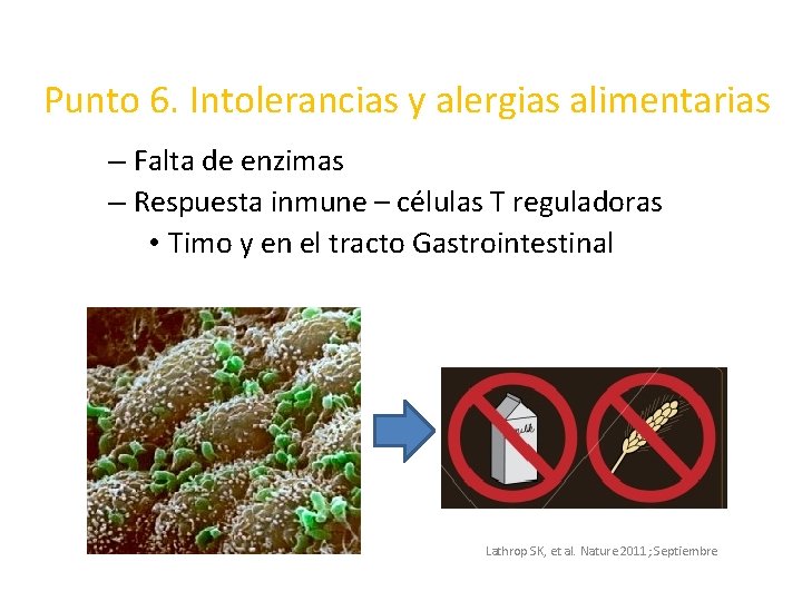 Punto 6. Intolerancias y alergias alimentarias – Falta de enzimas – Respuesta inmune –
