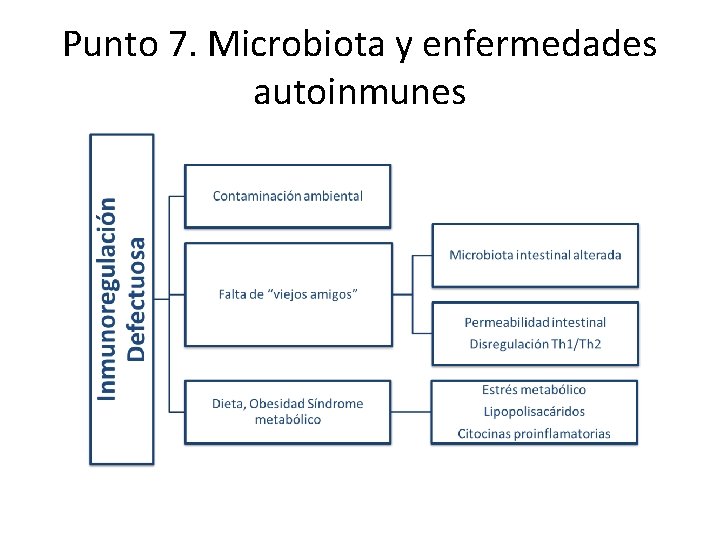 Punto 7. Microbiota y enfermedades autoinmunes 