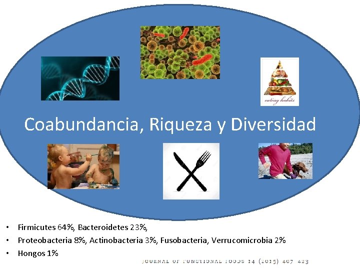 Coabundancia, Riqueza y Diversidad • Firmicutes 64%, Bacteroidetes 23%, • Proteobacteria 8%, Actinobacteria 3%,