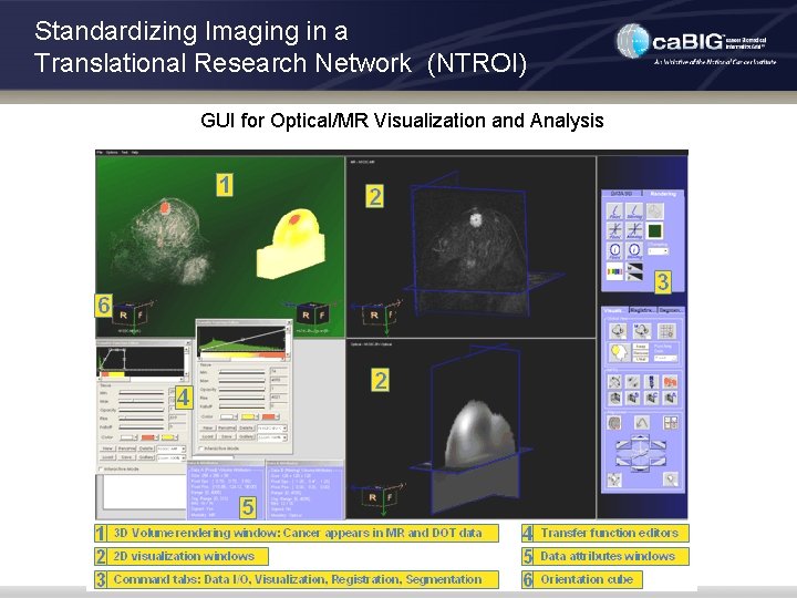 Standardizing Imaging in a Translational Research Network (NTROI) GUI for Optical/MR Visualization and Analysis