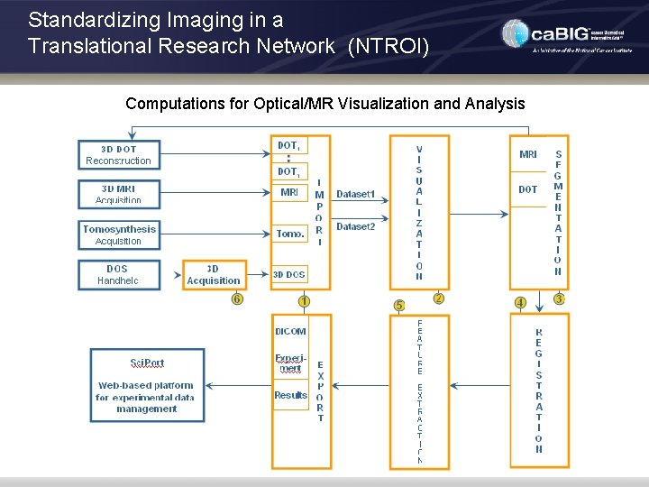 Standardizing Imaging in a Translational Research Network (NTROI) Computations for Optical/MR Visualization and Analysis