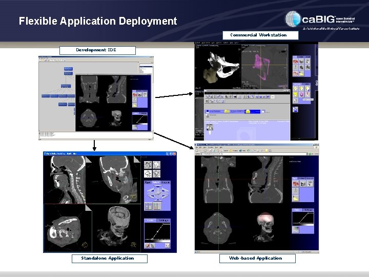 Flexible Application Deployment Commercial Workstation Development IDE Standalone Application Web-based Application 