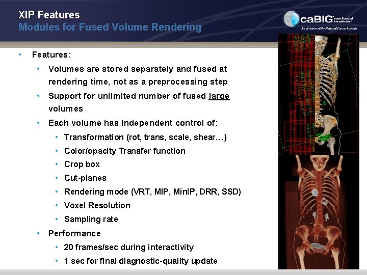 XIP Features Modules for Fused Volume Rendering • Features: • Volumes are stored separately