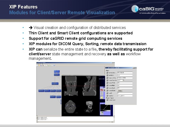 XIP Features Modules for Client/Server Remote Visualization • • • Visual creation and configuration