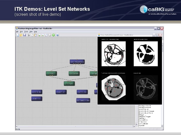 ITK Demos: Level Set Networks (screen shot of live demo) 