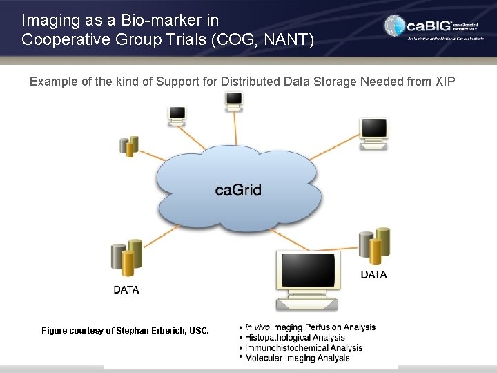 Imaging as a Bio-marker in Cooperative Group Trials (COG, NANT) Example of the kind