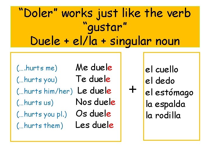 “Doler” works just like the verb “gustar” Duele + el/la + singular noun (….