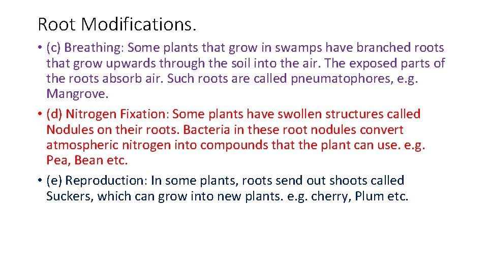 Root Modifications. • (c) Breathing: Some plants that grow in swamps have branched roots
