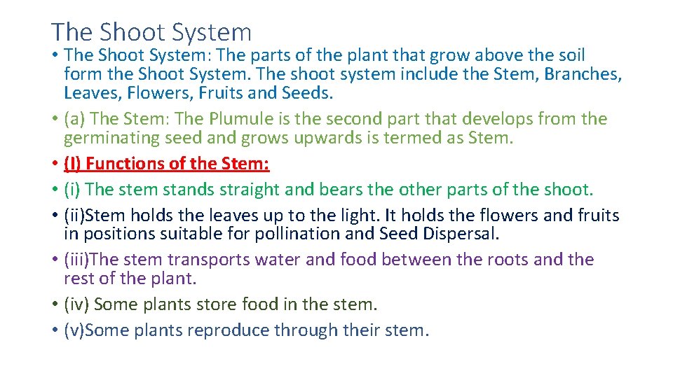 The Shoot System • The Shoot System: The parts of the plant that grow