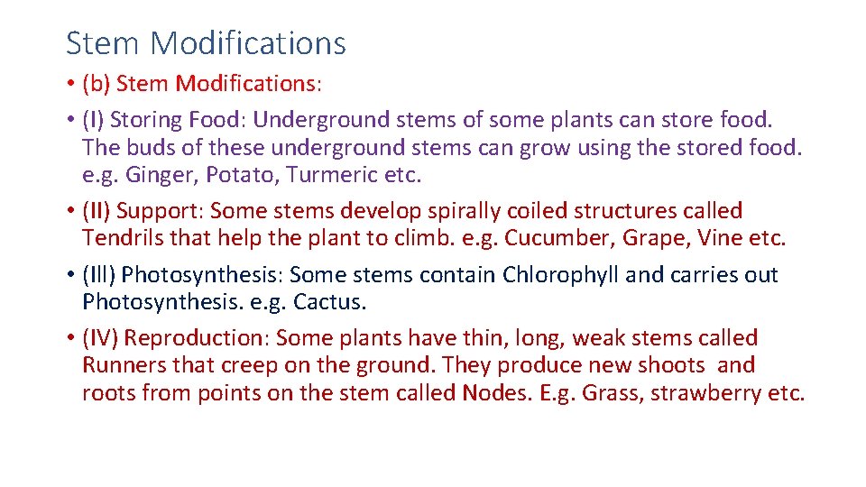 Stem Modifications • (b) Stem Modifications: • (I) Storing Food: Underground stems of some