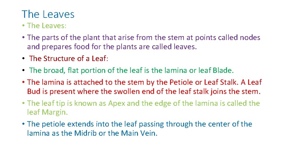 The Leaves • The Leaves: • The parts of the plant that arise from
