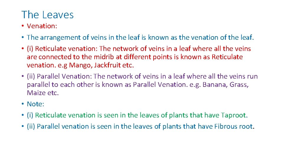 The Leaves • Venation: • The arrangement of veins in the leaf is known