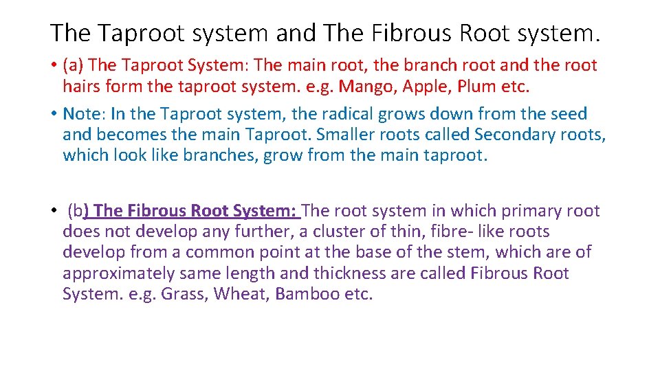 The Taproot system and The Fibrous Root system. • (a) The Taproot System: The