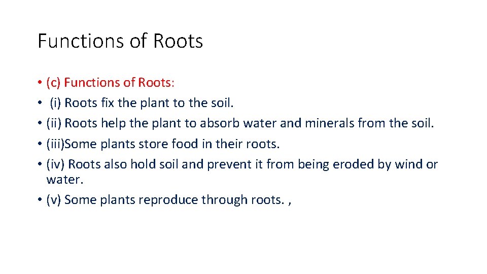 Functions of Roots • (c) Functions of Roots: • (i) Roots fix the plant