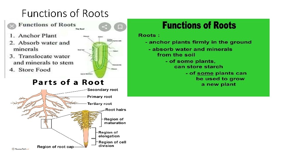 Functions of Roots 