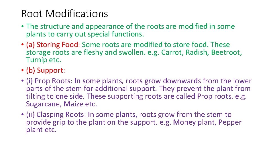 Root Modifications • The structure and appearance of the roots are modified in some
