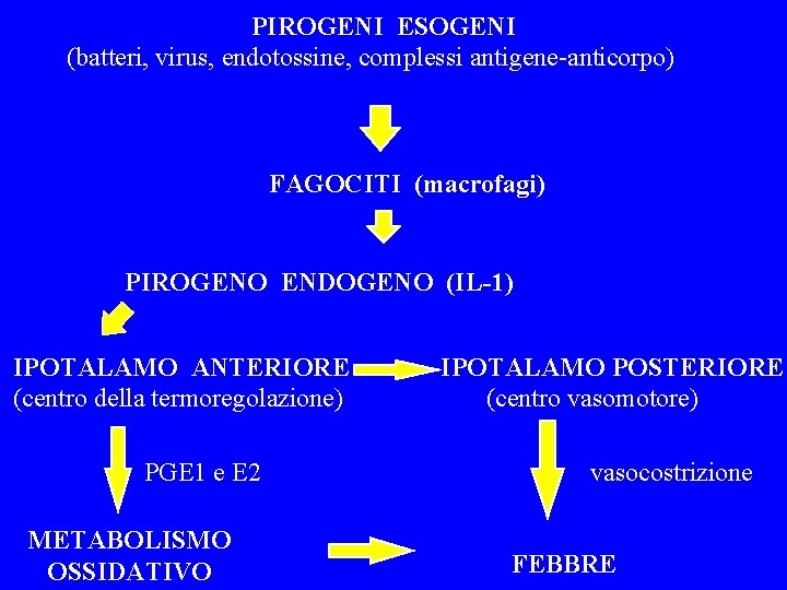 PIROGENI ESOGENI (batteri, virus, endotossine, complessi antigene-anticorpo) FAGOCITI (macrofagi) PIROGENO ENDOGENO (IL-1) IPOTALAMO ANTERIORE