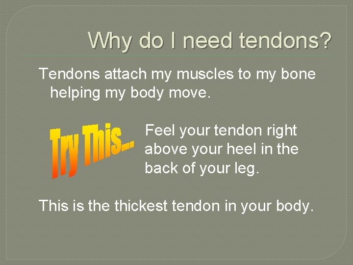 Why do I need tendons? Tendons attach my muscles to my bone helping my
