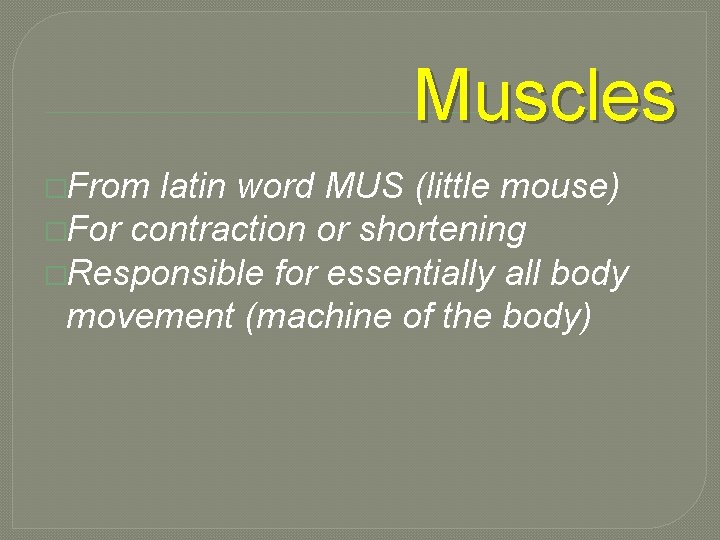 Muscles �From latin word MUS (little mouse) �For contraction or shortening �Responsible for essentially